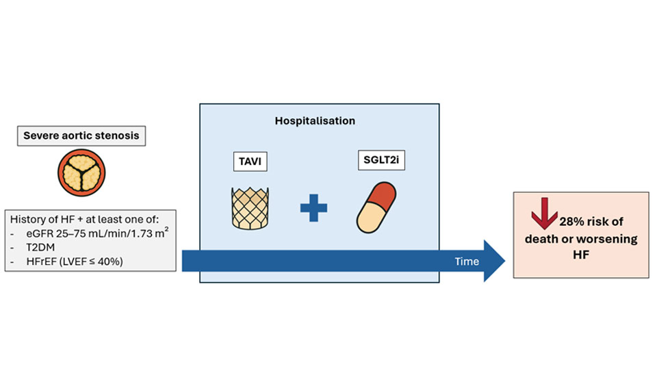 Dapagliflozin in Patients Undergoing Transcatheter Aortic-Valve Implantation