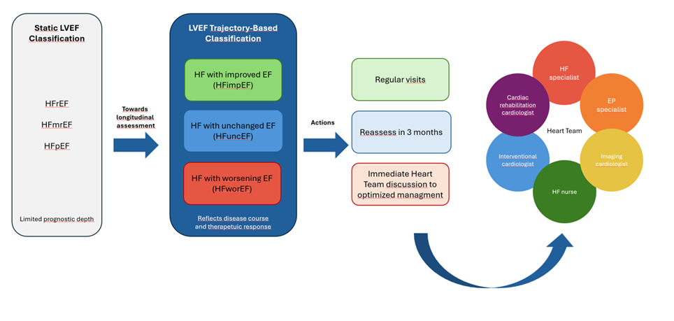 LVEF trajectory-based classification and therapeutic implications