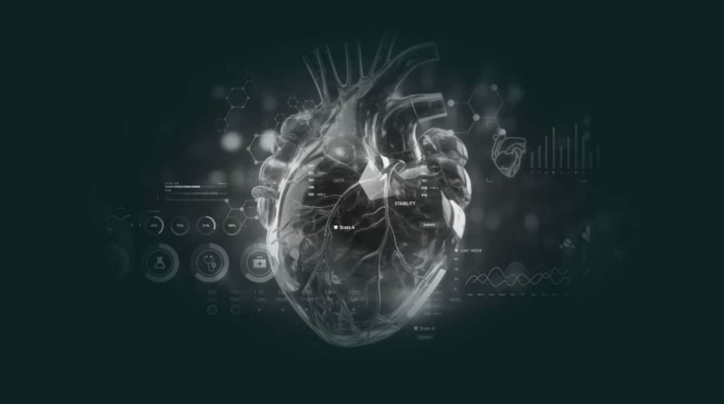 HFpEF and microvascular dysfunction: from mechanistic understanding to the tailored treatment strategy
